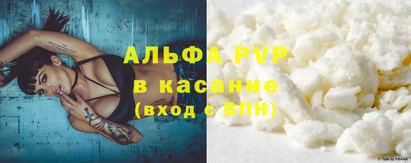 прущие грибы Богородск