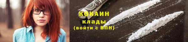 прущие грибы Богородск