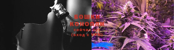 твердый Аркадак