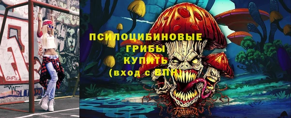 МДМА Богданович