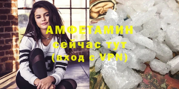 прущие грибы Богородск