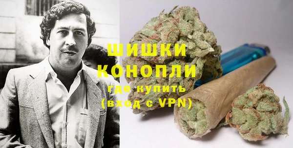 прущие крисы Арсеньев