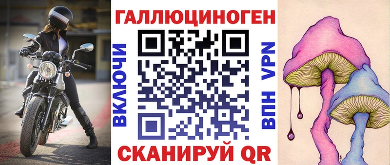 Галлюциногенные грибы Psilocybe  купить   Мурманск 
