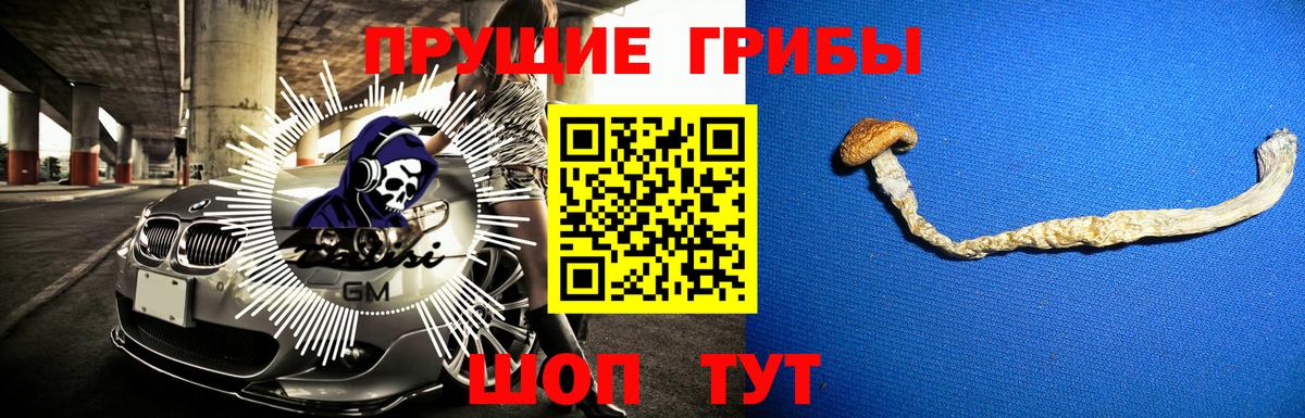 Мурманск  как найти   Вход с VPN  Галлюциногенные грибы Psilocybe 