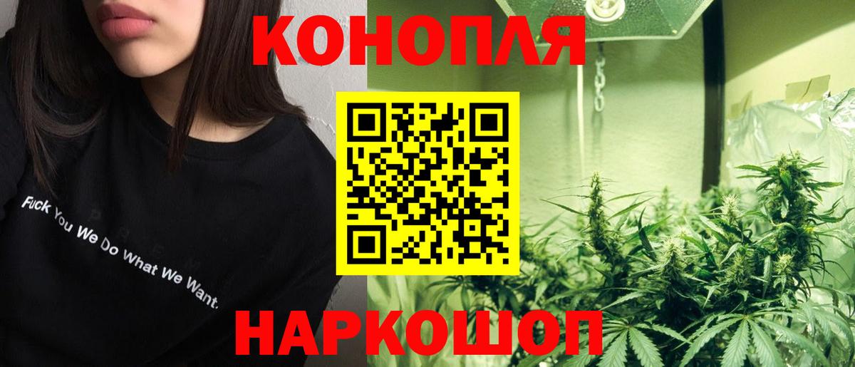Марихуана конопля Мурманск