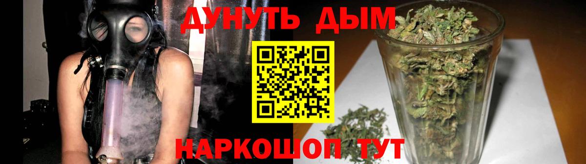 Каннабис сатива  Канабис сатива  Каннабис конопля  Вход с VPN  Мурманск 